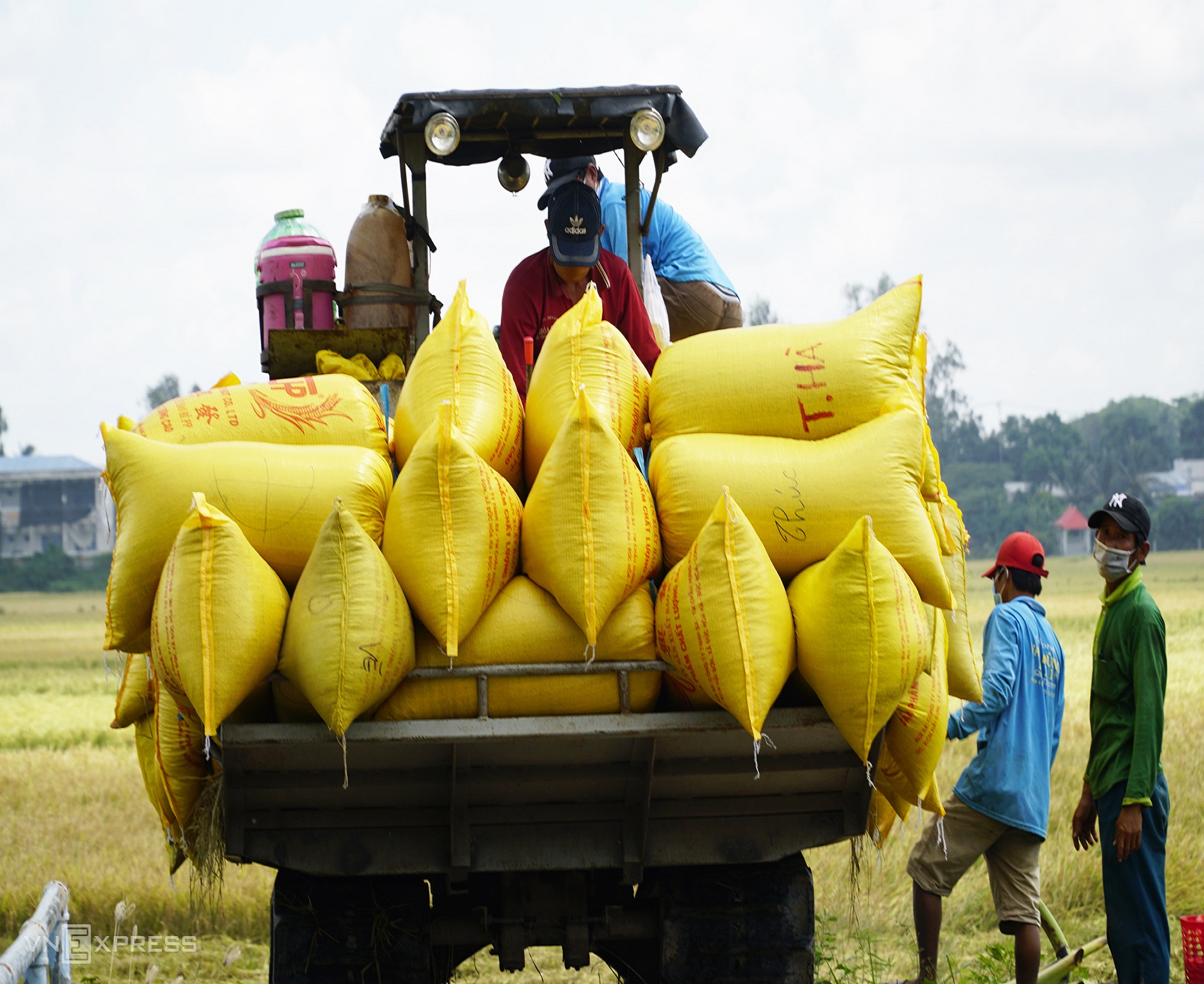 'Liên kết sẽ giúp nông dân giảm thiệt hại trong hoàn cảnh bất thường'